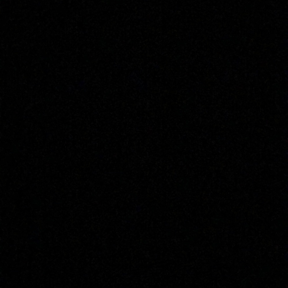 Meet your Posher, Shelby